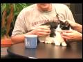 Pet Of The Week - Dec 21