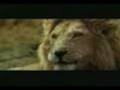 videos de Reh