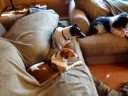 Missy and Rudy