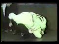 Rolls Grace Fight-Brazilian Jiu Jitsu Rolls Grace Fight-Brazilian Jiu Jitsu