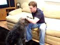 His Name is Brewski...