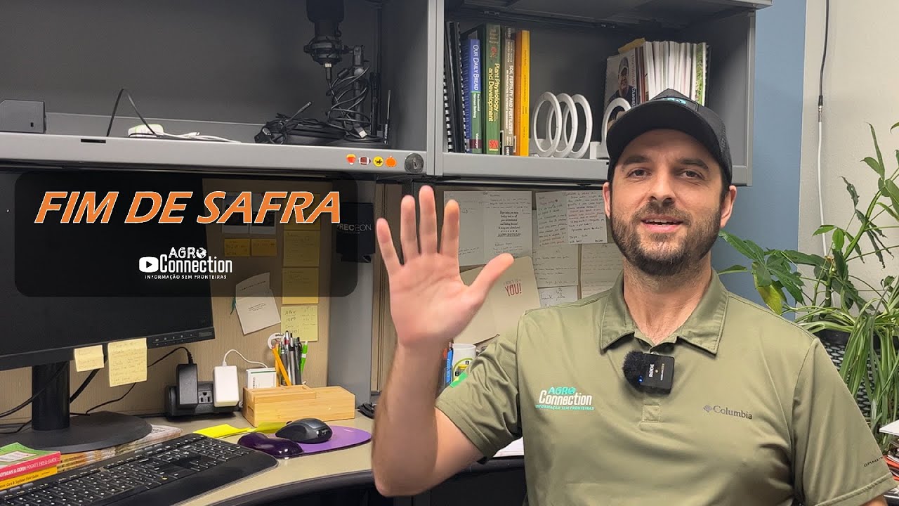 Safra soja/milho 2024 - Novembro - RESULTADOS DA SAFRA E CUSTOS DE PRODUÇÃO