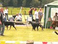 Clubmatch Grote zwitsers 3