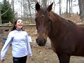 Bubba the Donkey Bubba the Donkey