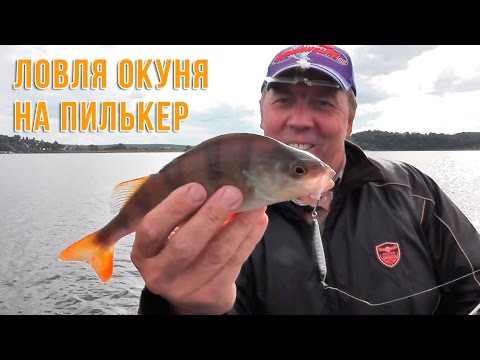 на что и как ловить окуня в мае на что и как ловить окуня в мае