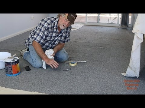how to remove paint from carpet