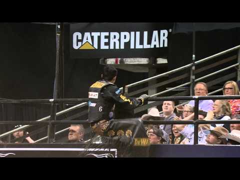 how to train pbr bulls