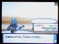 D/P Wi-Fi Battle: VileOne vs Hector