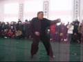 Grandmaster Shen jiarui - Bajiquan Black Tiger form