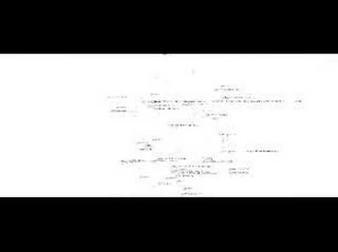 Walter Rafelsberger: Rhizome ...
