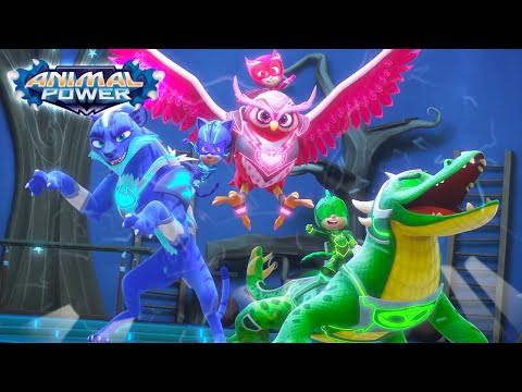 Here Come The PJ Riders! ⚡ Animal Power ⚡ PJ Masks Official