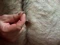 Belly Button Lint Collection