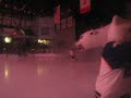 Hockey nanooks