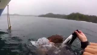 Scuba Diving!