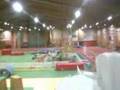 Indoor RC Combat