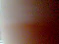 les deevs (y) les deevs (y)