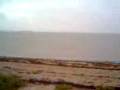 videos de quel pirla di marco mi ha portato al mare