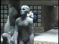 Nello specchio di Galois (Estratto/Excerpt 02) - 2008