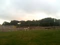 digby at dusk @ Georges Heights in mosman, australia