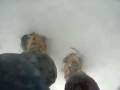 videos de Corredor Tubo de Lenito