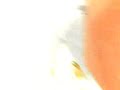 Thumbnail #3