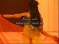 videos de Miss India Holland Verkiezing 2008