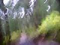 videos de Blueberry Pancake Trail part 1