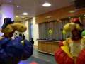 Kangaroo Boxing