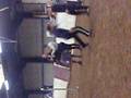 videos de Caber Toss