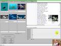 videos de Fish Ed Sudoku Image Setting