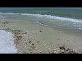 Sanibel and Captiva Island Vacation Rentals Video - Florida