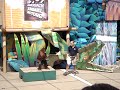 Funny Monkey Funny Monkey