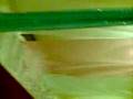 videos de Video001.3gp