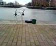 Salford quays carp run