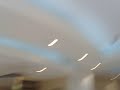 Rat attck in Rotana Al bustan  hotel in Dubai , UA