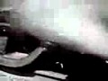 ������Ŵƻ:YouTube������=16��