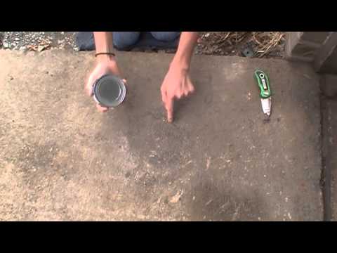 how to open can without can opener