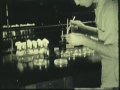Agronomy-at-Iowa-Sta