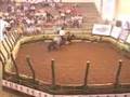 O mundo do Cavalo Crioulo