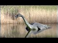 company promotional video