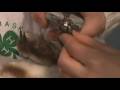 How to Trim Your Rabbit's Toenails