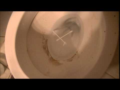 how to unclog a toilet from q tips