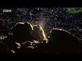 bbc: the need for salt   elephant cave