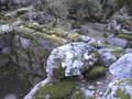 videos de Schede Archeologiche: Il Tempio 