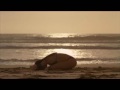 TIM TVC.wmv