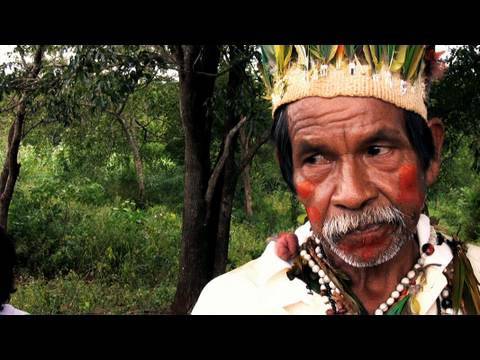 survivalintl - http://www.survivalinternational.org/guarani A Guarani community in Mato Grosso do Sul, Brazil describe the threat posed to them by gunmen, hired by the ranc...