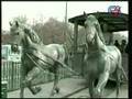 Tabriz 3  