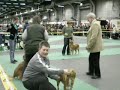 DSCN0776 VIDEO.AVI