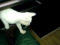 Thumbnail #1