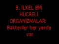 BAKTERİLER.avi